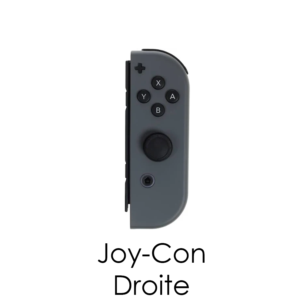 Paire de Joy-Con - Grade B
