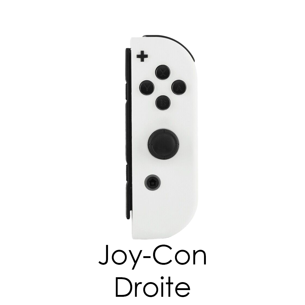 Paire de Joy-Con - Grade B